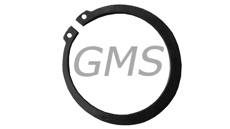 ARKA JANT GÖBEK SEGMANI CG125